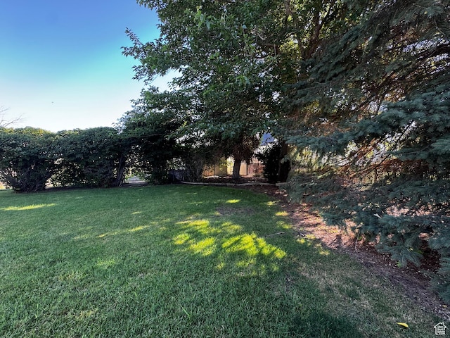 500 W Clark St S, Grantsville, UT 84029 - view of green lawn
