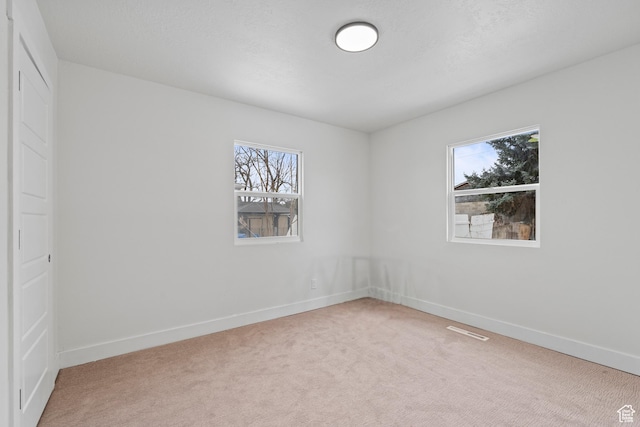 spare room with a healthy amount of sunlight and carpet