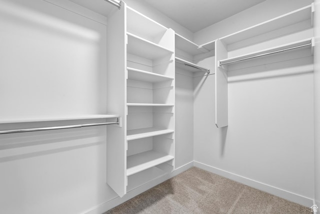 spacious closet featuring light carpet