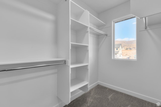 spacious closet featuring dark carpet