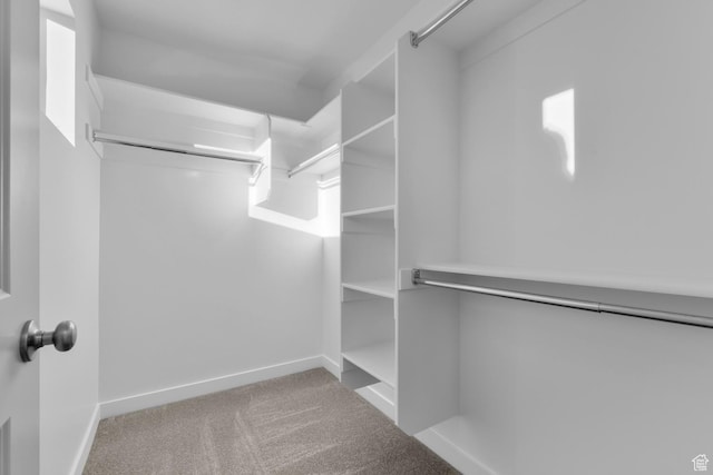 walk in closet featuring light carpet