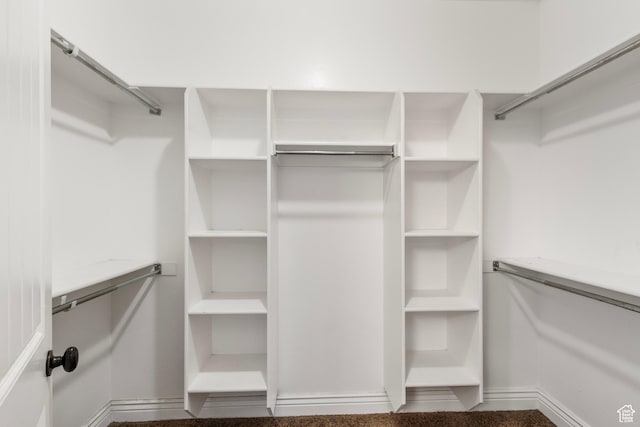 11513 S Jackson Downs Way S, Jordan, UT 84095 - view of walk in closet