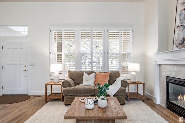 living room featuring a premium fireplace and light hardwood / wood-style floors
