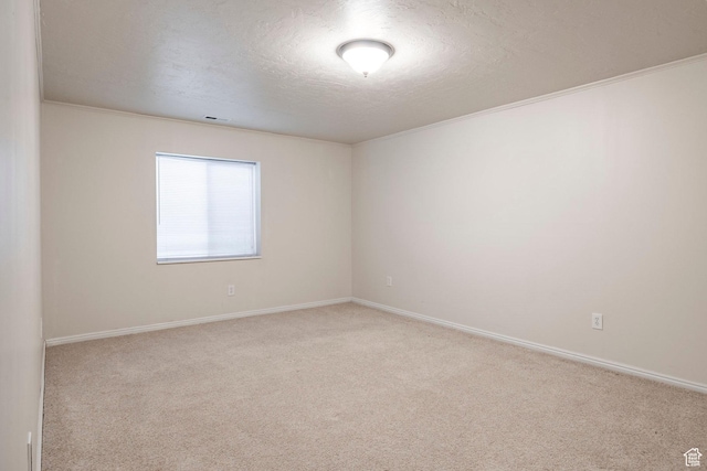 carpeted spare room featuring crown molding and a textured ceiling