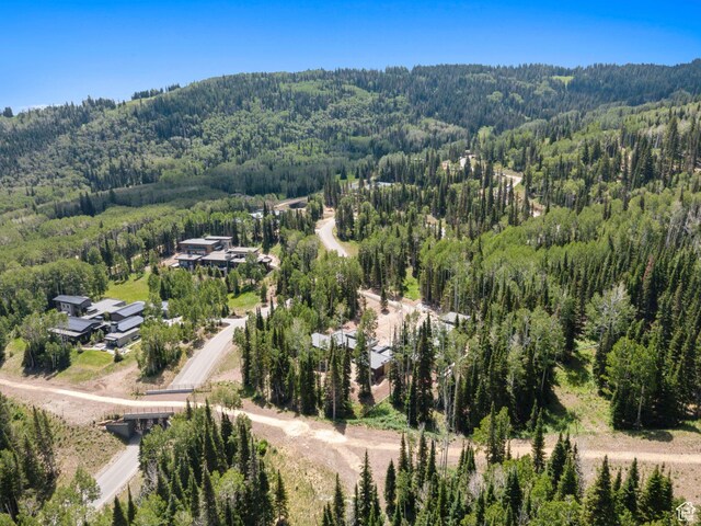 314 White Pine Canyon Rd, Park City, UT 84060 - photo 19