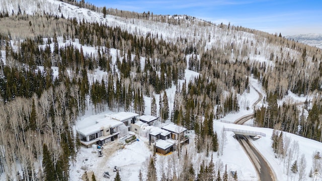 314 White Pine Canyon Rd, Park City, UT 84060 - photo 32