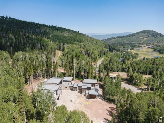 314 White Pine Canyon Rd, Park City, UT 84060 - photo 4