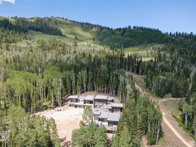 314 White Pine Canyon Rd, Park City, UT 84060 - photo 7
