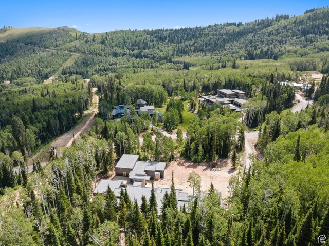 314 White Pine Canyon Rd, Park City, UT 84060 - photo 6