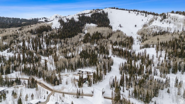 314 White Pine Canyon Rd, Park City, UT 84060 - photo 33