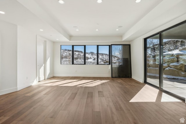 2738 Longspur Ln, Park City, UT 84098 - unfurnished room with a tray ceiling, hardwood / wood-style flooring, and plenty of natural light