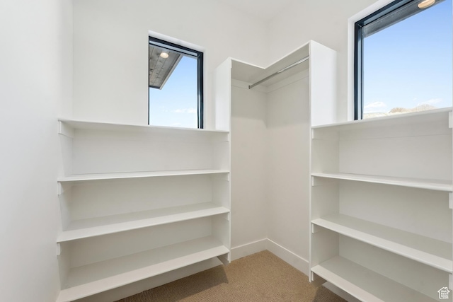 2738 Longspur Ln, Park City, UT 84098 - spacious closet with carpet flooring