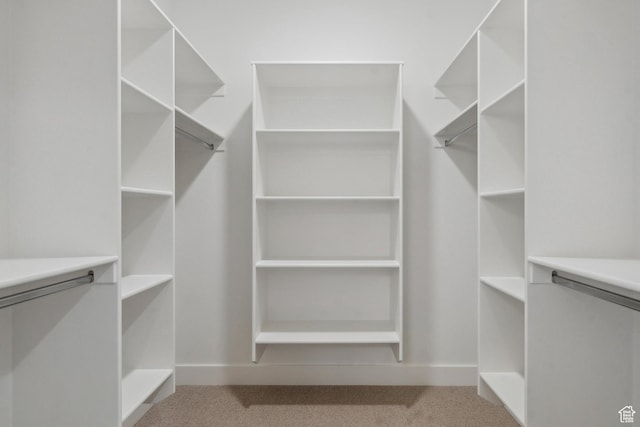 2738 Longspur Ln, Park City, UT 84098 - walk in closet with light carpet