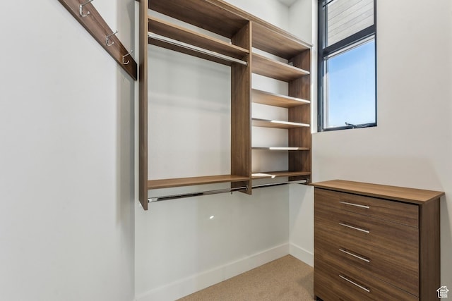 2738 Longspur Ln, Park City, UT 84098 - spacious closet with light colored carpet