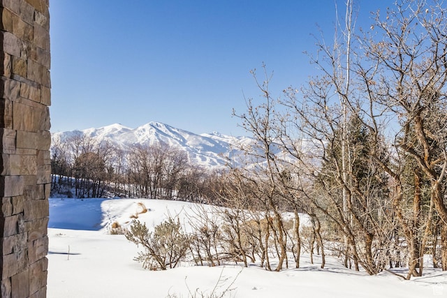 9791 N Uinta Dr, Kamas, UT 84036 - mountain view