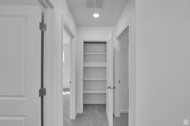 1946 E Burger St Unit 1237, Lake Point, UT 84074 - view of closet