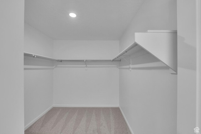 1946 E Burger St Unit 1237, Lake Point, UT 84074 - walk in closet featuring carpet flooring