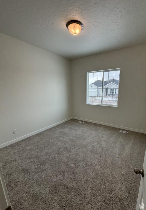 283 E Polaris Dr Unit 102, Saratoga Springs, UT 84045 - unfurnished room featuring a textured ceiling, baseboards, and dark colored carpet