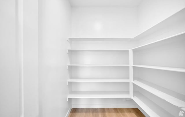 283 E Polaris Dr Unit 102, Saratoga Springs, UT 84045 - view of pantry