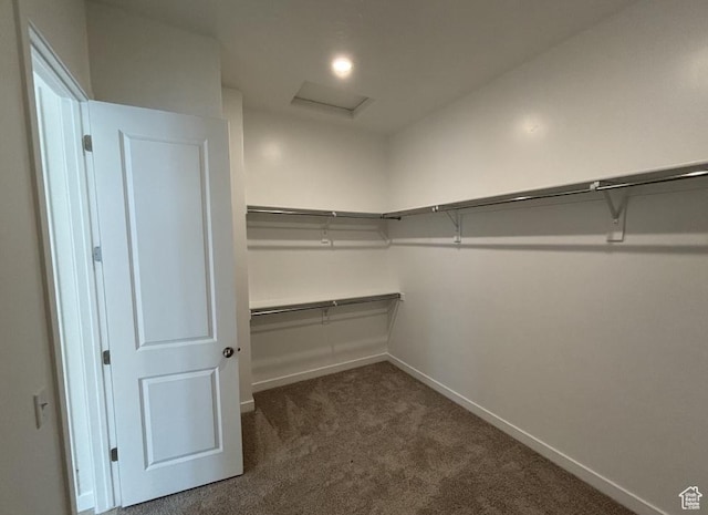 283 E Polaris Dr Unit 102, Saratoga Springs, UT 84045 - spacious closet featuring attic access and carpet