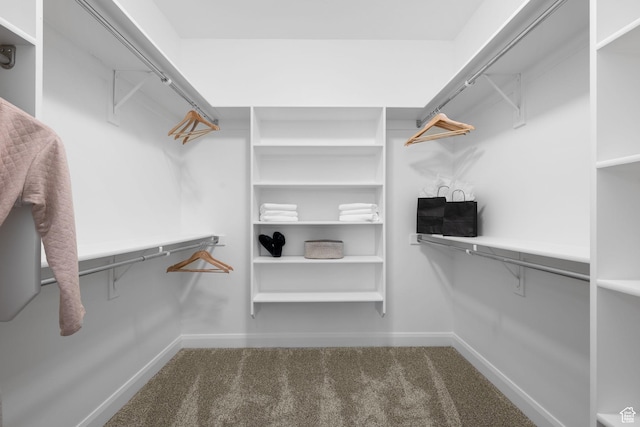 walk in closet featuring carpet