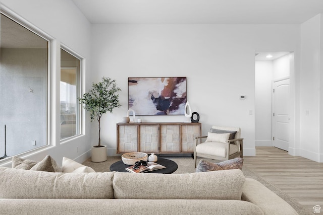 living room featuring light hardwood / wood-style flooring