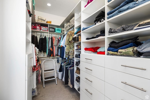 spacious closet featuring carpet flooring