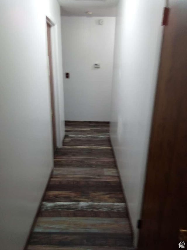 stairs with hardwood / wood-style flooring