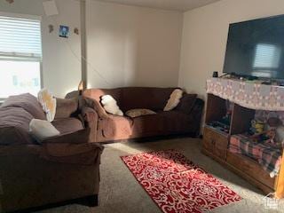 1700 S Sandhill Rd Unit C205, Orem, UT 84058 - view of carpeted living room