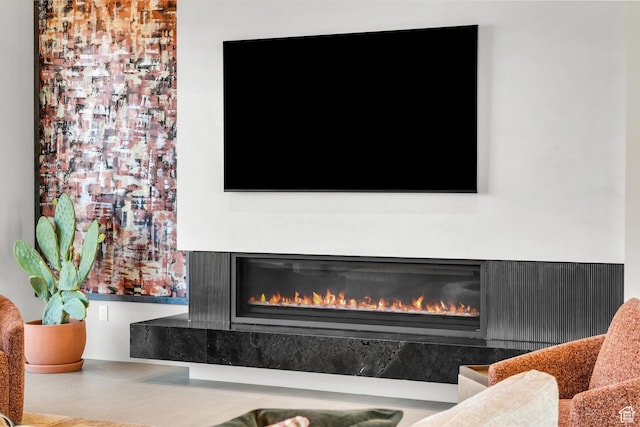 63 E Colima Rd, Washington, UT 84780 - detailed view of a glass covered fireplace
