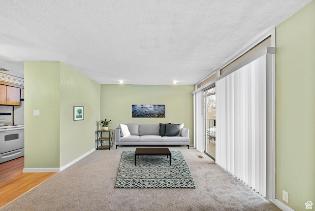 4409 S Rosehaven Ct Unit B, West Valley City, UT 84120 - living room with baseboards, a textured ceiling, and light colored carpet