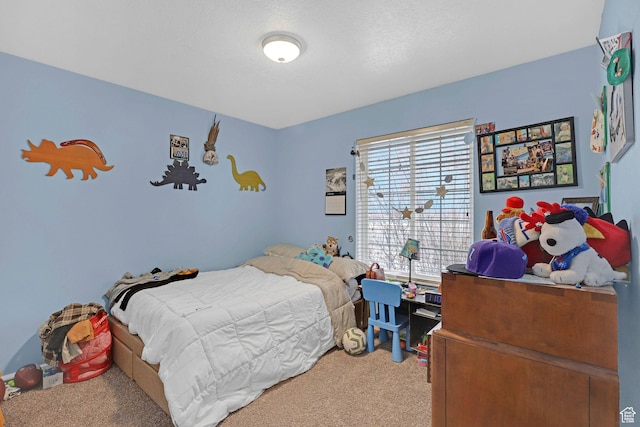 260 S 370 E, Smithfield, UT 84335 - view of carpeted bedroom
