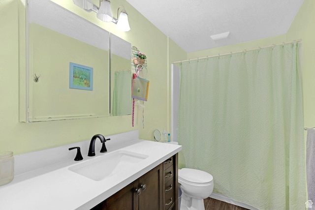 260 S 370 E, Smithfield, UT 84335 - bathroom with vanity, wood-type flooring, and toilet