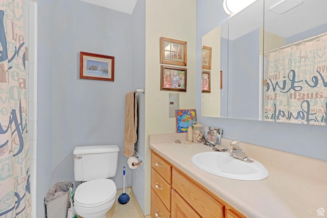 260 S 370 E, Smithfield, UT 84335 - bathroom with vanity, curtained shower, and toilet