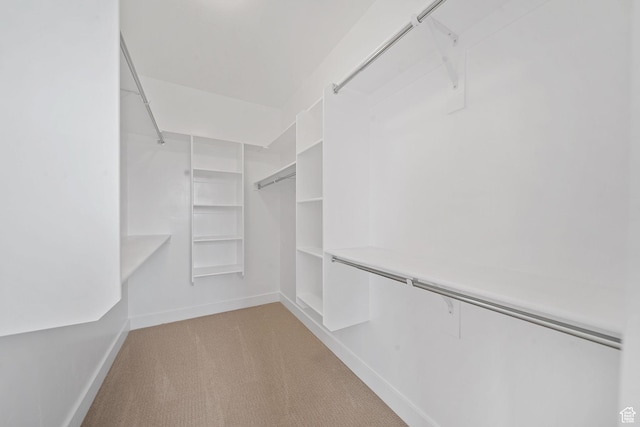 walk in closet featuring light colored carpet