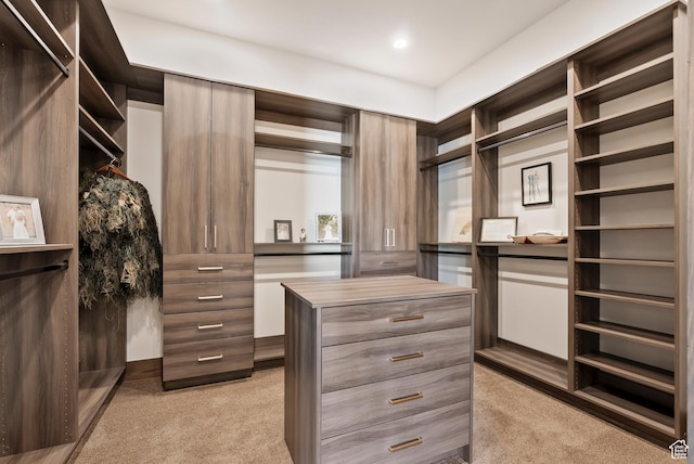 2015 S Pinnacle Cir, St George, UT 84790 - walk in closet featuring light carpet