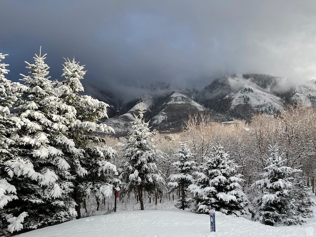 485 S Woodland Hills Dr, Woodland Hills, UT 84653 - view of mountain background
