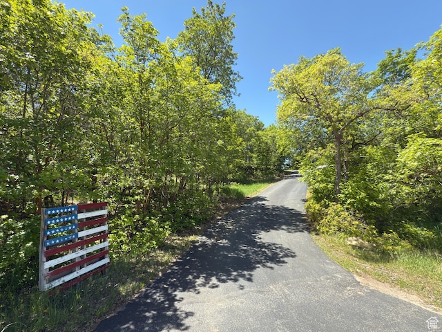 485 S Woodland Hills Dr, Woodland Hills, UT 84653 - view of road