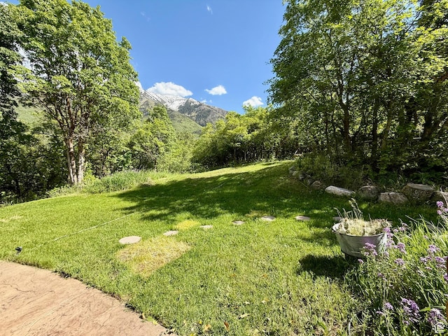 485 S Woodland Hills Dr, Woodland Hills, UT 84653 - view of grassy yard with a mountain view