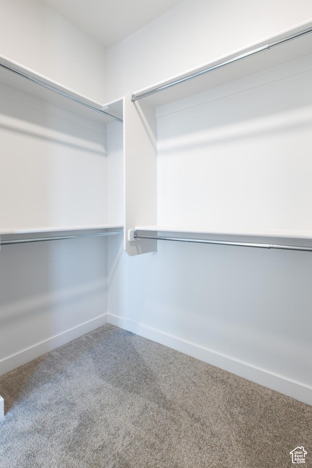 684 S 3550 W Unit 131, West Weber, UT 84401 - walk in closet featuring carpet floors