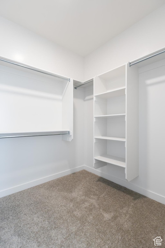 684 S 3550 W Unit 131, West Weber, UT 84401 - spacious closet with carpet floors