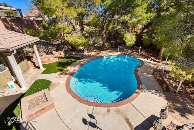 view of swimming pool with a patio area