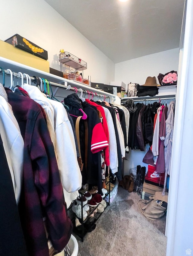 walk in closet featuring carpet flooring