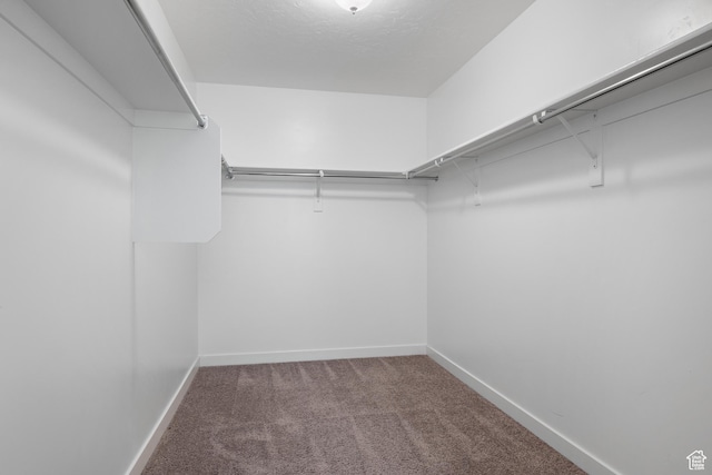 621 W 950 S, Springville, UT 84663 - walk in closet with carpet flooring