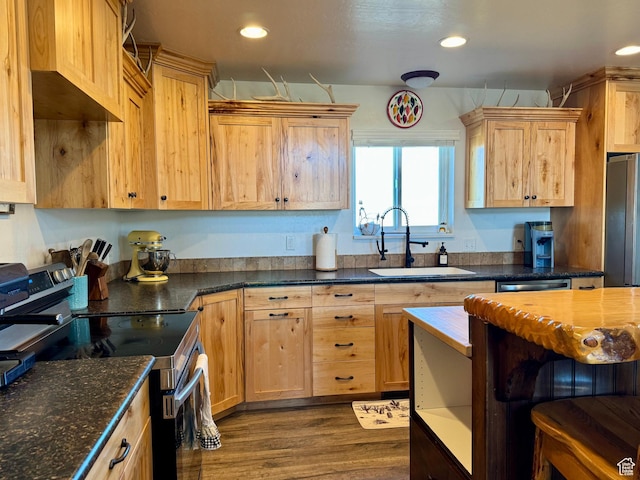 kitchen with appliances with stainless steel finishes, a sink, dark wood-style floors, and recessed lighting