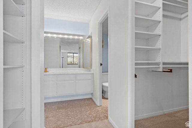 241 N Vine St W Unit 1101E, Salt Lake City, UT 84103 - view of spacious closet