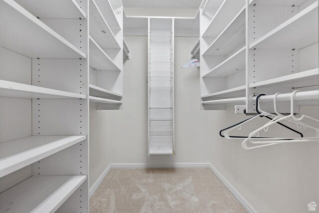 241 N Vine St W Unit 1101E, Salt Lake City, UT 84103 - walk in closet featuring carpet