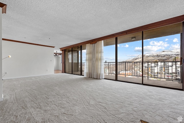 241 N Vine St W Unit 1101E, Salt Lake City, UT 84103 - unfurnished living room with carpet floors, a wall of windows, and a textured ceiling