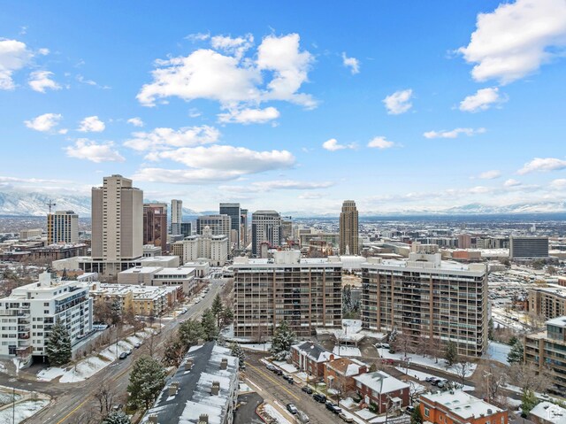 241 N Vine St W Unit 1101E, Salt Lake City, UT 84103 - property's view of city