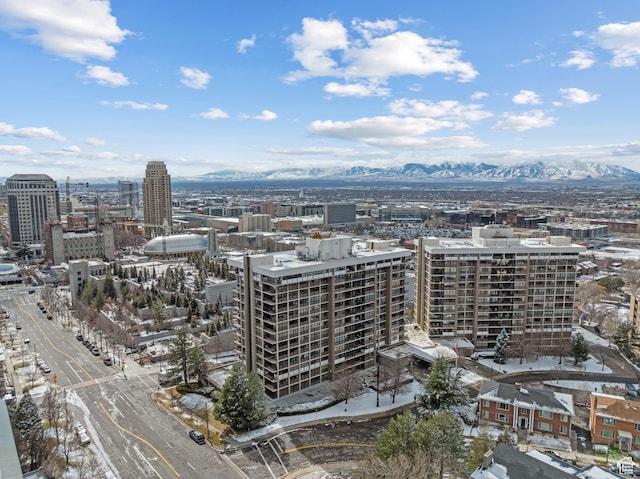 241 N Vine St W Unit 1101E, Salt Lake City, UT 84103 - city view featuring a mountain view